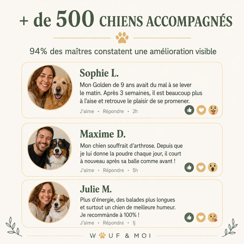 Mobilité & Articulations