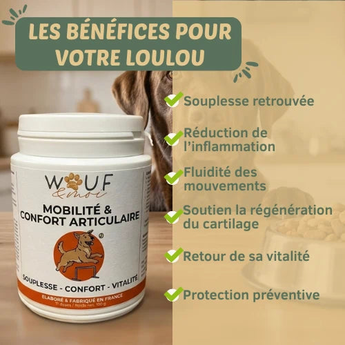 Mobilité & Articulations