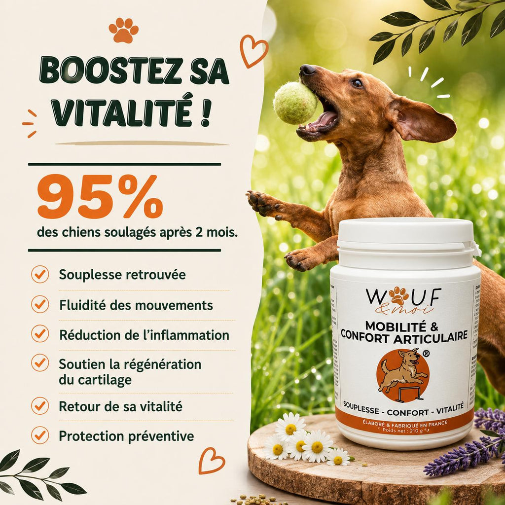 95% de satisfaction pour ce complement