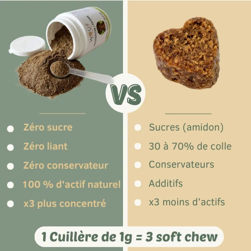 Digestion & Flore