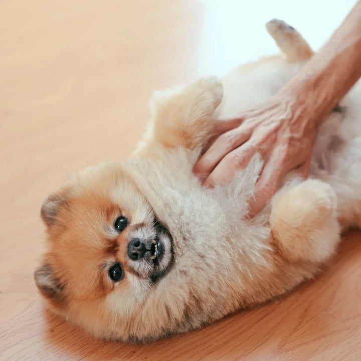 Digestion