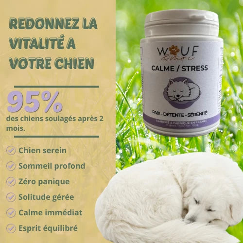 Anxiété & Stress