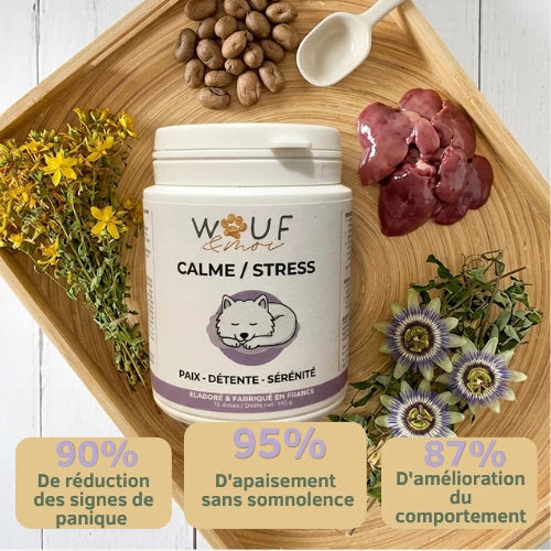 Anxiété & Stress