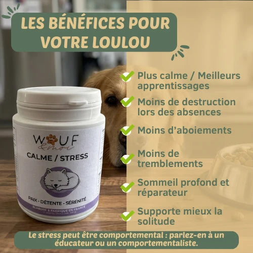 Anxiété & Stress