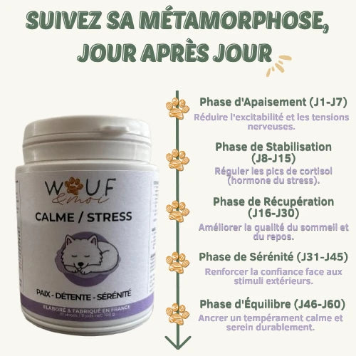 Anxiété & Stress