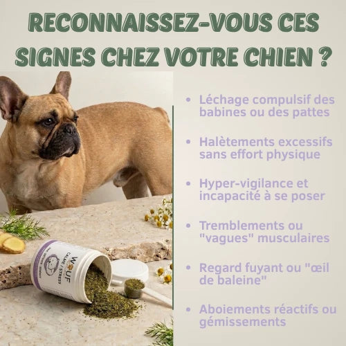 Anxiété & Stress