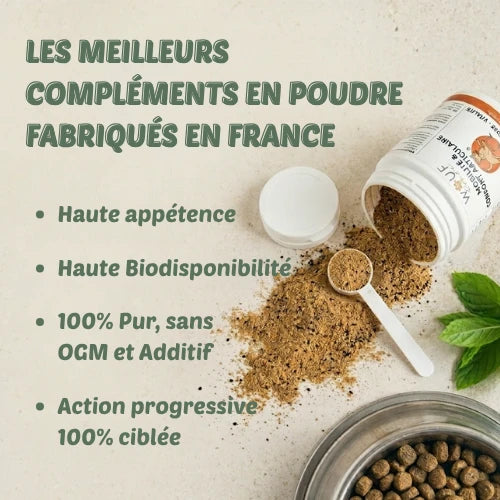 Mobilité & Articulations