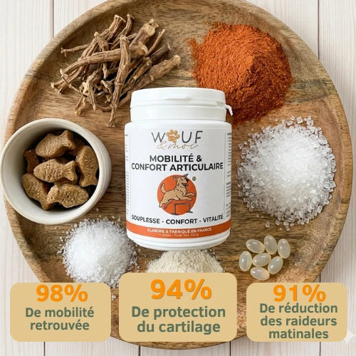 Mobilité & Articulations
