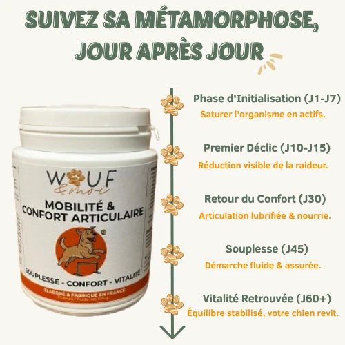 Mobilité & Articulations