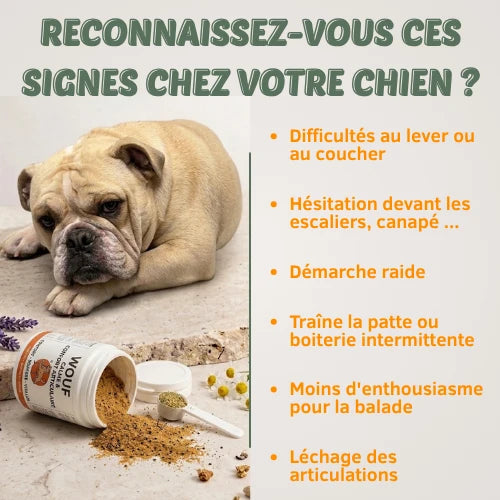 Mobilité & Articulations