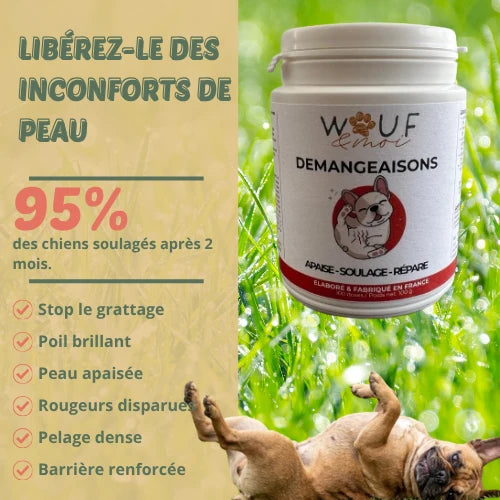 Démangeaison & Peau