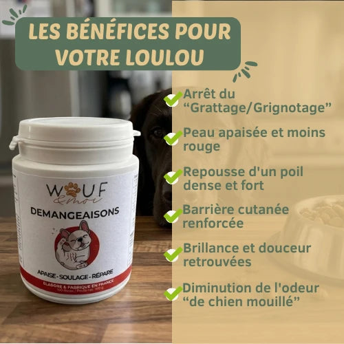 Démangeaison & Peau