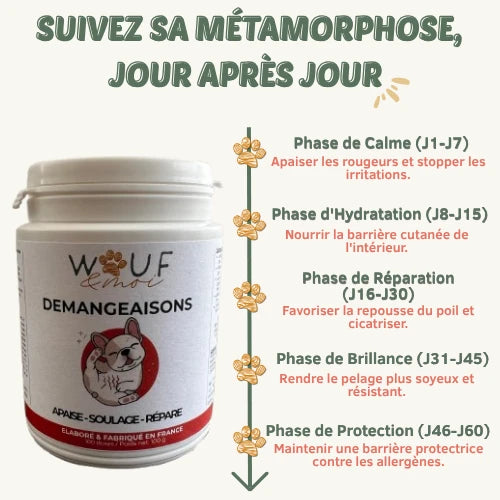 Démangeaison & Peau