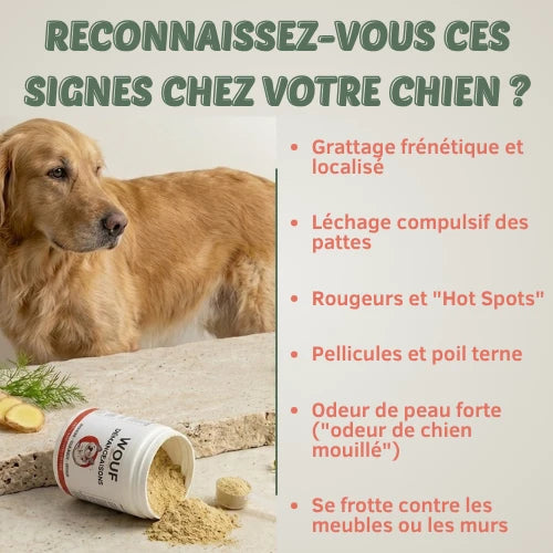 Démangeaison & Peau