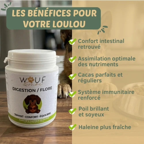Digestion & Flore