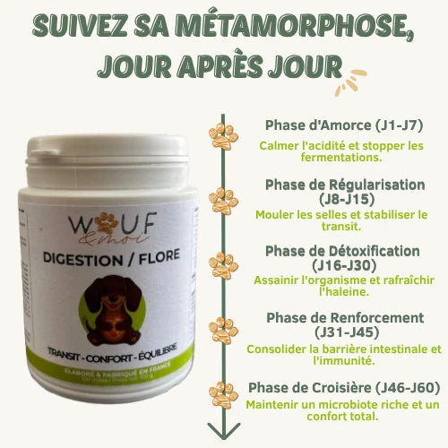 Digestion & Flore