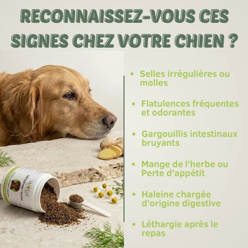 Digestion & Flore