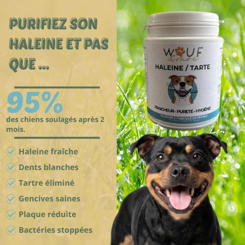 Haleine & Tartre