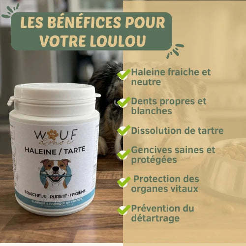 Haleine & Tartre