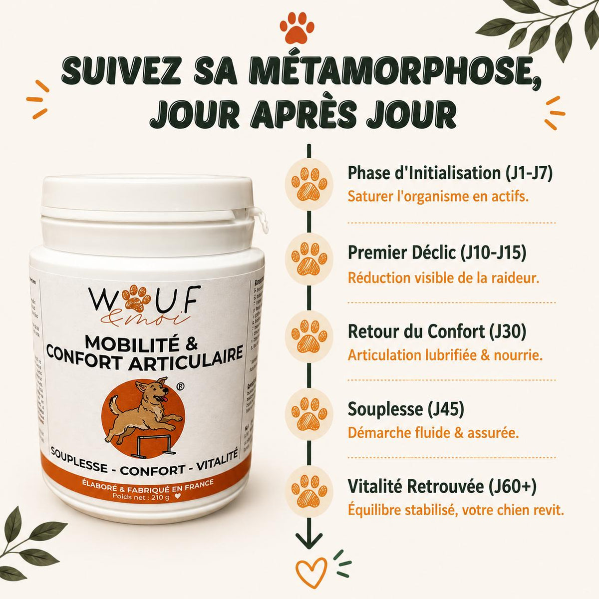 les phases de transformation durant 60 jours