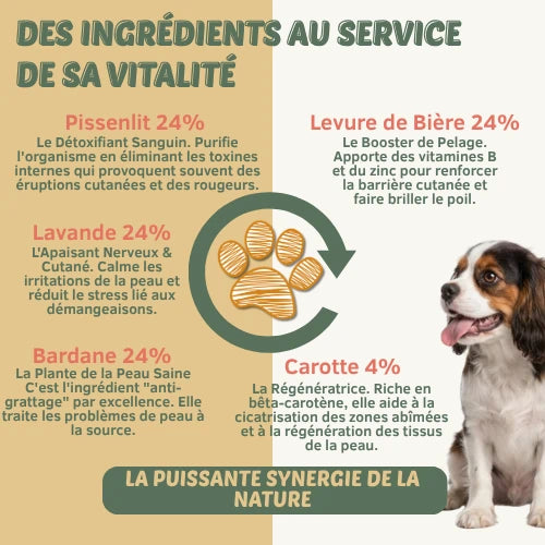 Démangeaison & Peau