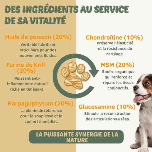 Mobilité & Articulations