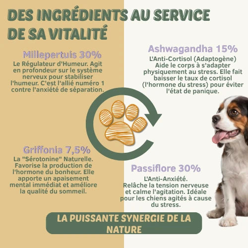 Anxiété & Stress