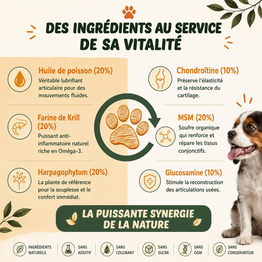 Les composés de notre formule  articulation