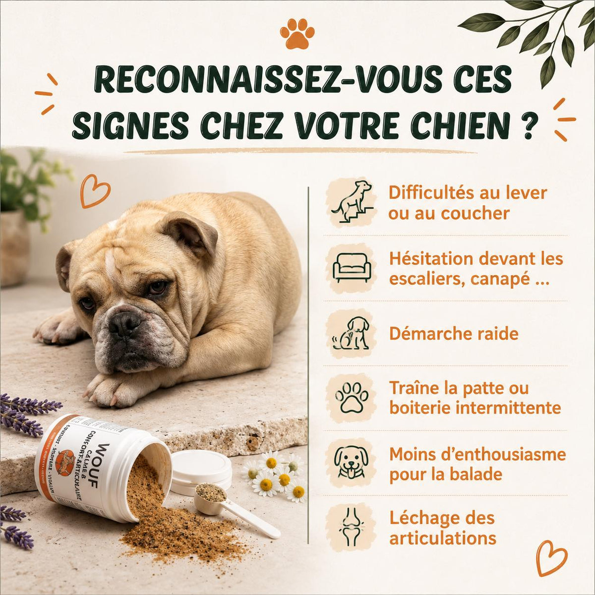 Différents  signes de douleurs articulaires