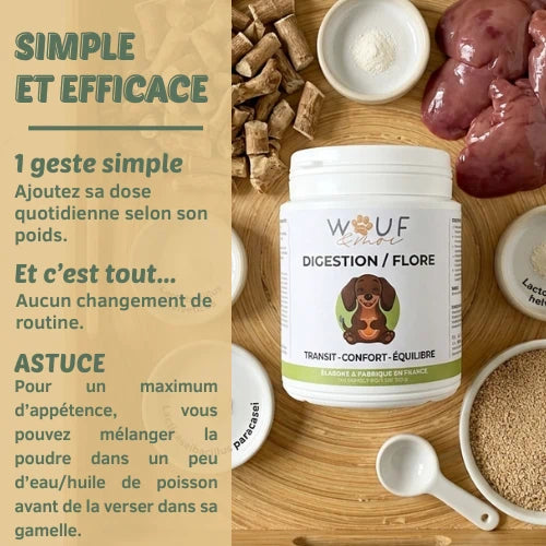 Digestion & Flore