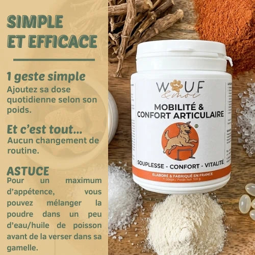 Mobilité & Articulations