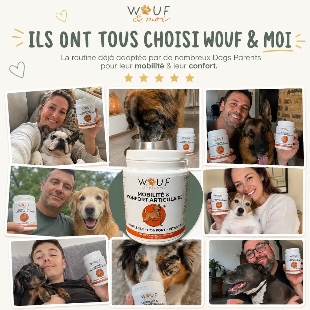 Mobilité & Articulations
