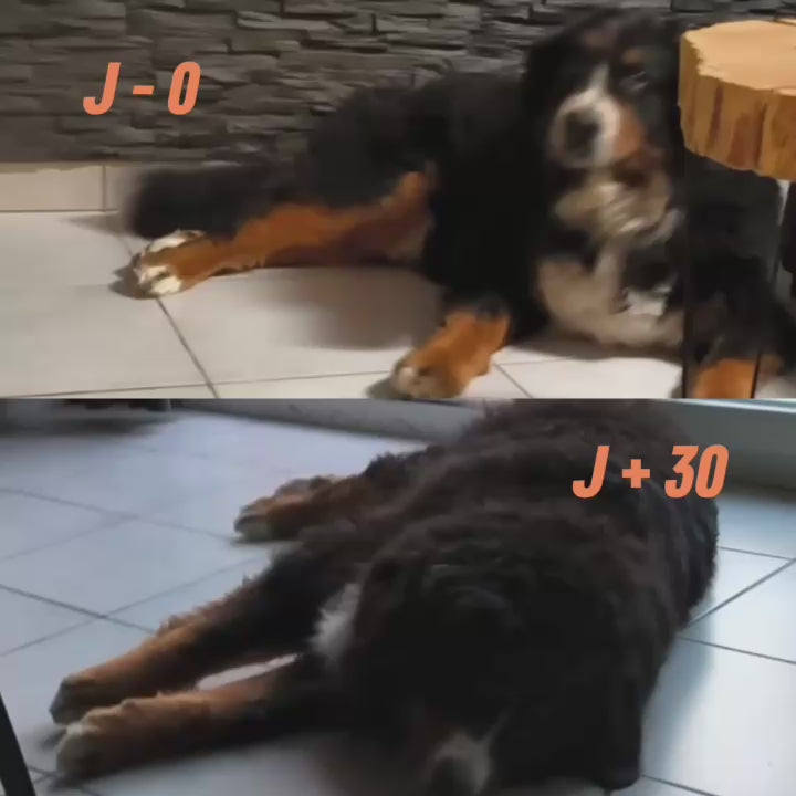 Vidéo